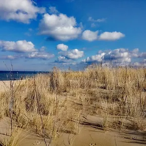 Island4u Gdańsk